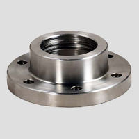 Non-Standard Flange