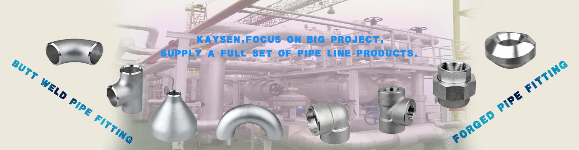 Forged Pipe Fittings