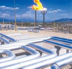 <div style="text-align: center;"><span style="font-size:16px;">Natural Gas</span></div> 